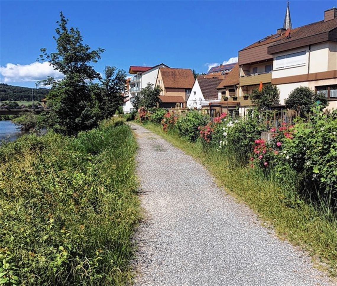 „Kahlschlag“ dient Hochwasserschutz