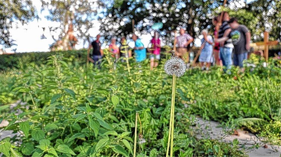 Wildwuchs ärgert Friedhofsbesucher