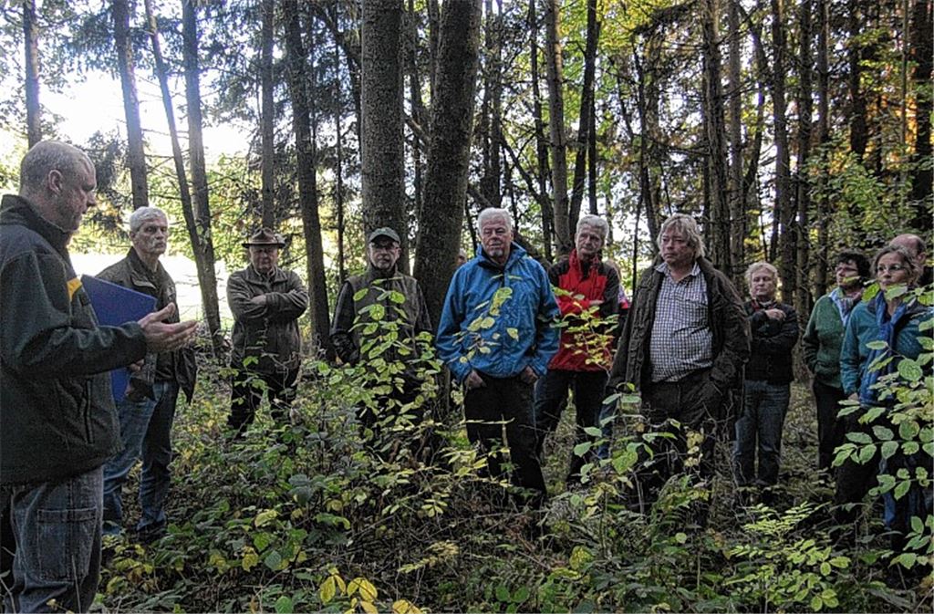 Trockener Sommer setzt Wiernsheimer Wald zu