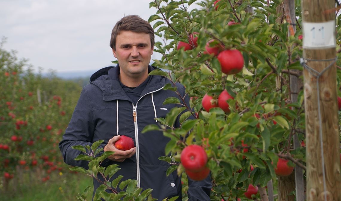 Vorreiter: Michael Mauer hat in Iptingen eine Anlage für Bioäpfel angelegt. Foto: Enzkreis/Hörl
