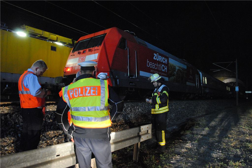 Vorsorglich waren unter anderem zwölf Feuerwehrleute aus Illingen am Einsatzort. Foto: Deeg