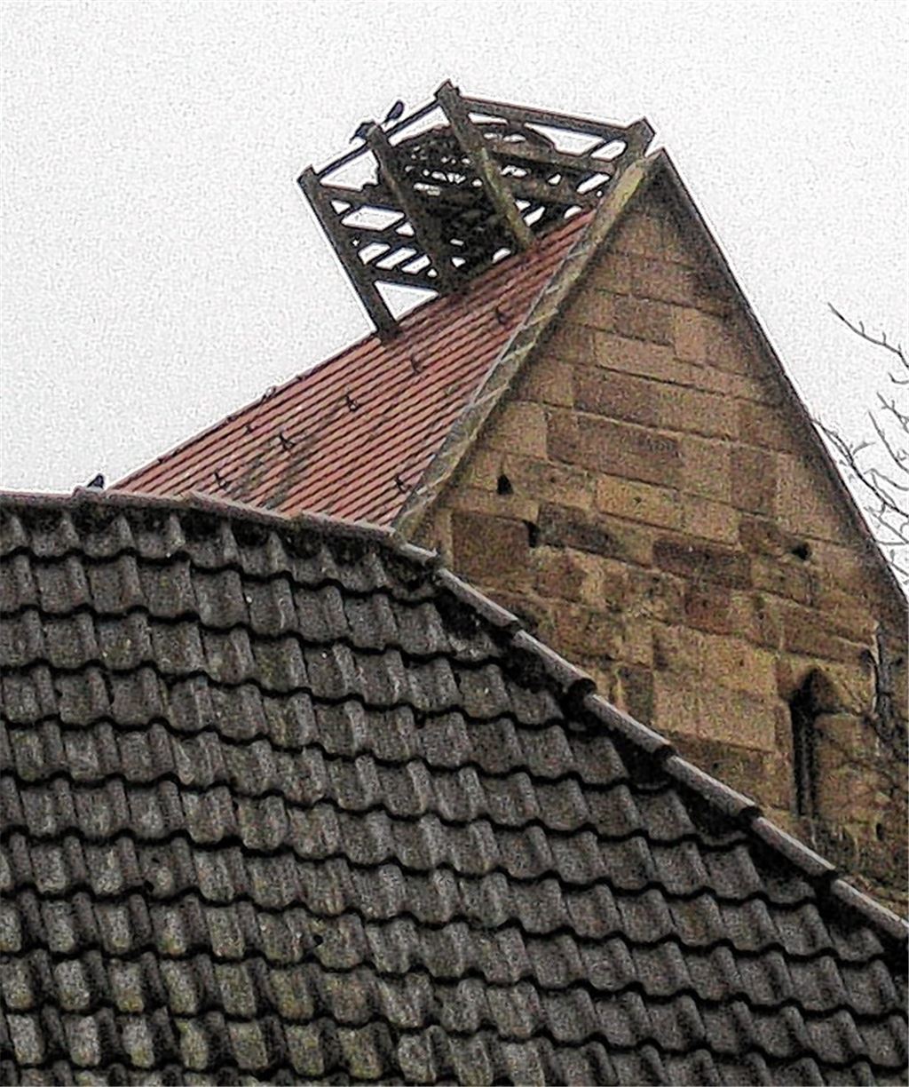 Während Störche, die ins Nest auf dem Steinhaus einziehen würden, nichts zu bezahlen hätten, müssen Vereine, die die städtischen Räume hier oder in verschiedenen Hallen nutzen, Gebühren entrichten. In Corona-Zeiten fällt freilich der reguläre Übungsbetrieb weg, weshalb die SPD-Fraktion im Gemeinderat nun beantragt, bis mindestens Ende Juni aufs Einziehen des Geldes zu verzichten.Becker