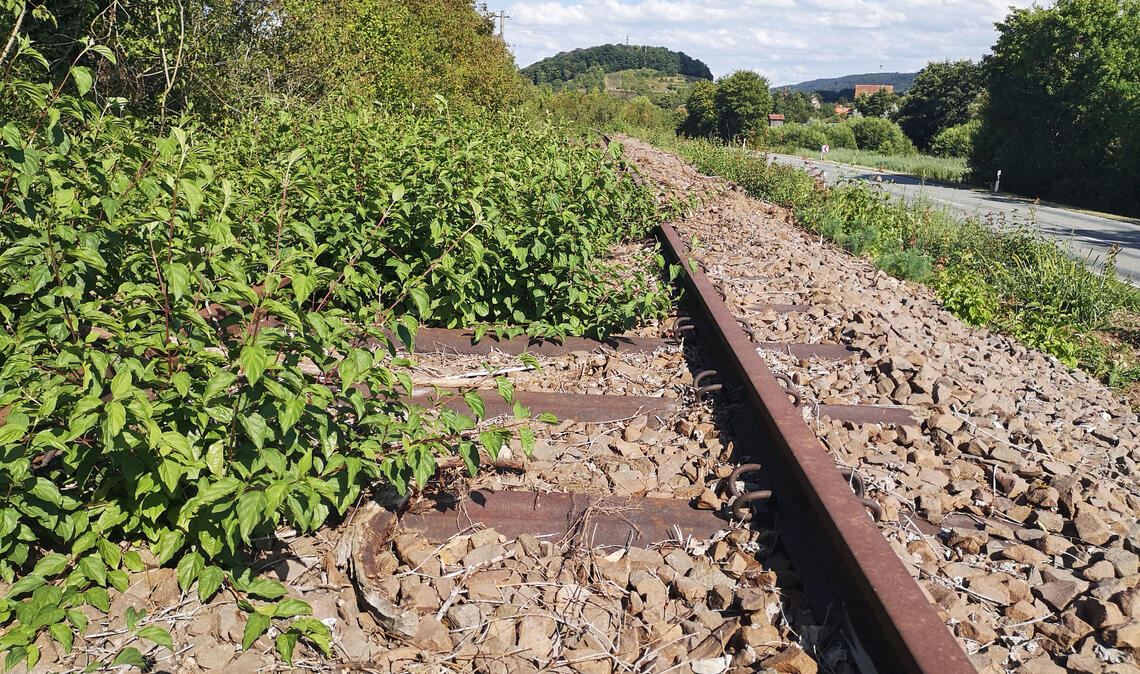 Während zwischen Zaberfeld und Leonbronn alte Gleise liegen, gibt es in Knittlingen (Bild unten) einen Bahnhof, der nie einen Zug gesehen hat, weil entgegen der ursprünglichen Planung dann doch keine Schienen verlegt worden sind. Fotos: Goertz/Becker