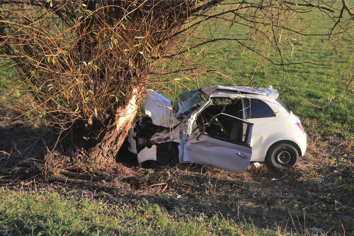 Auto prallt gegen Baum – Frau verletzt Wagen landet an Baum. Foto: Myroshnichenko