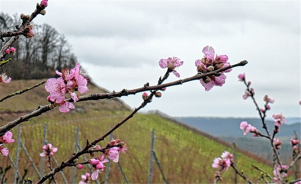 Winterbilder