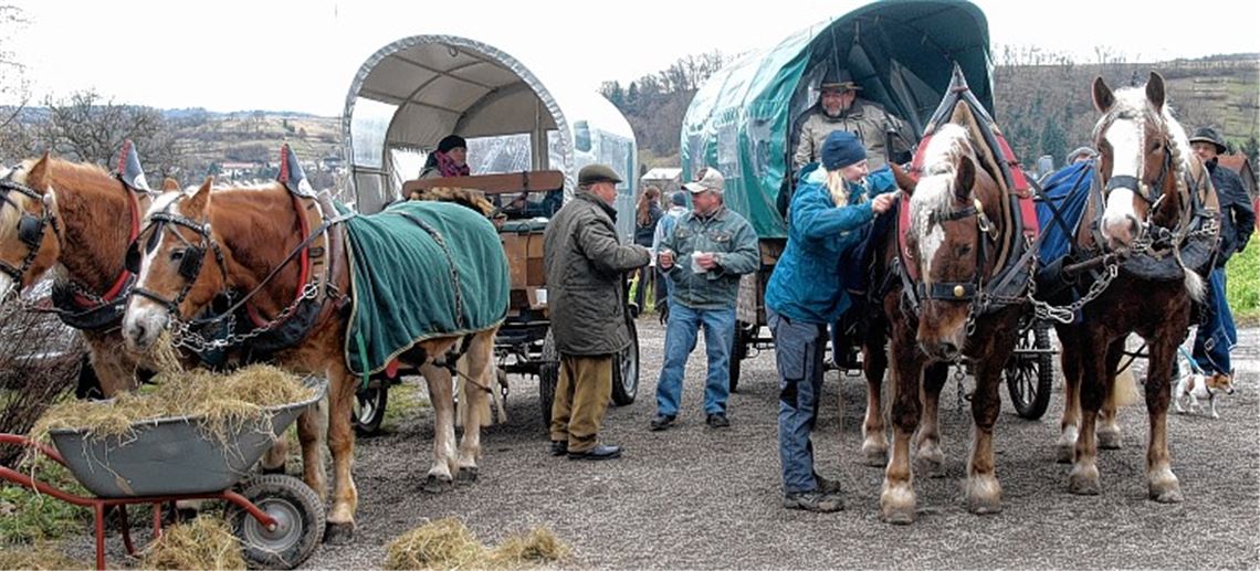 Wahrend sich Pferde das duftende Heu schmecken lassen, genießen Kutschenfahrer den Glühwein nach Geheimrezept und den Linseneintopf. Foto: Appich