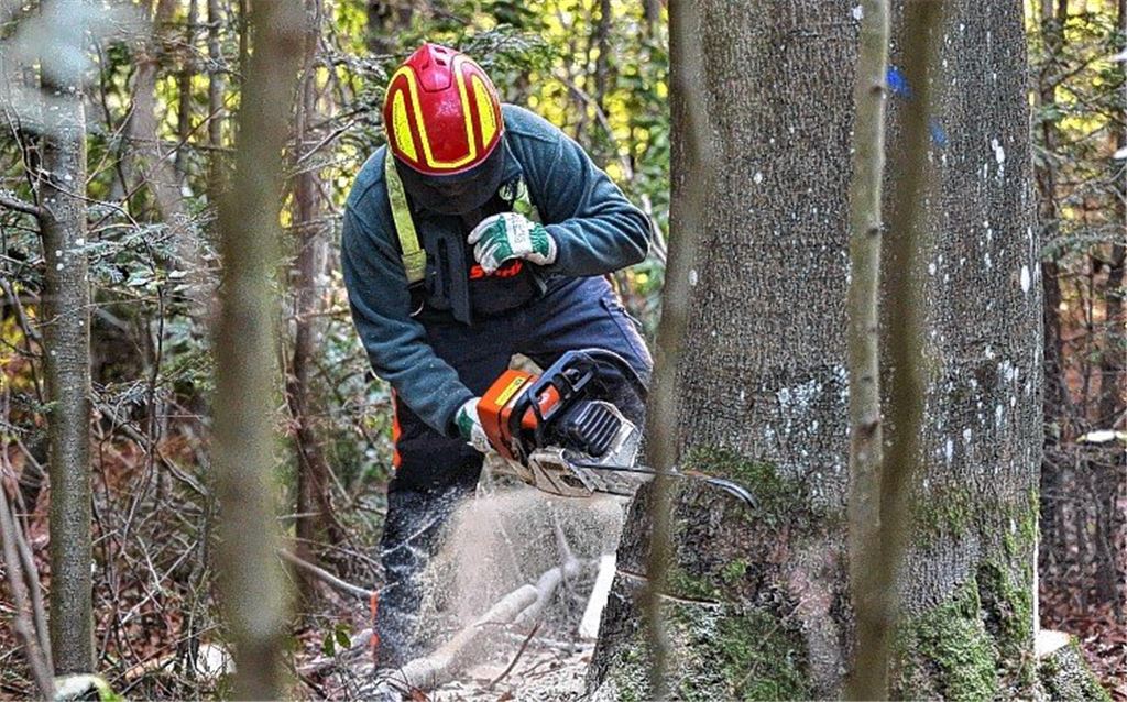 Forstreform beschäftigt Gemeinden