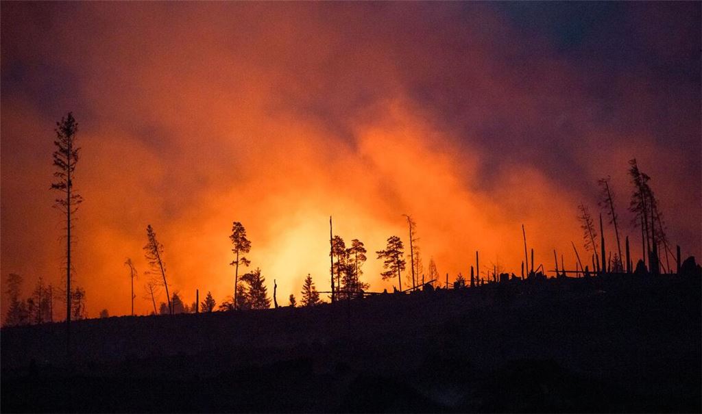 Waldbrände fachen mit ihren Emissionen die Erderwärmung zusätzlich an. (Illustraiton)