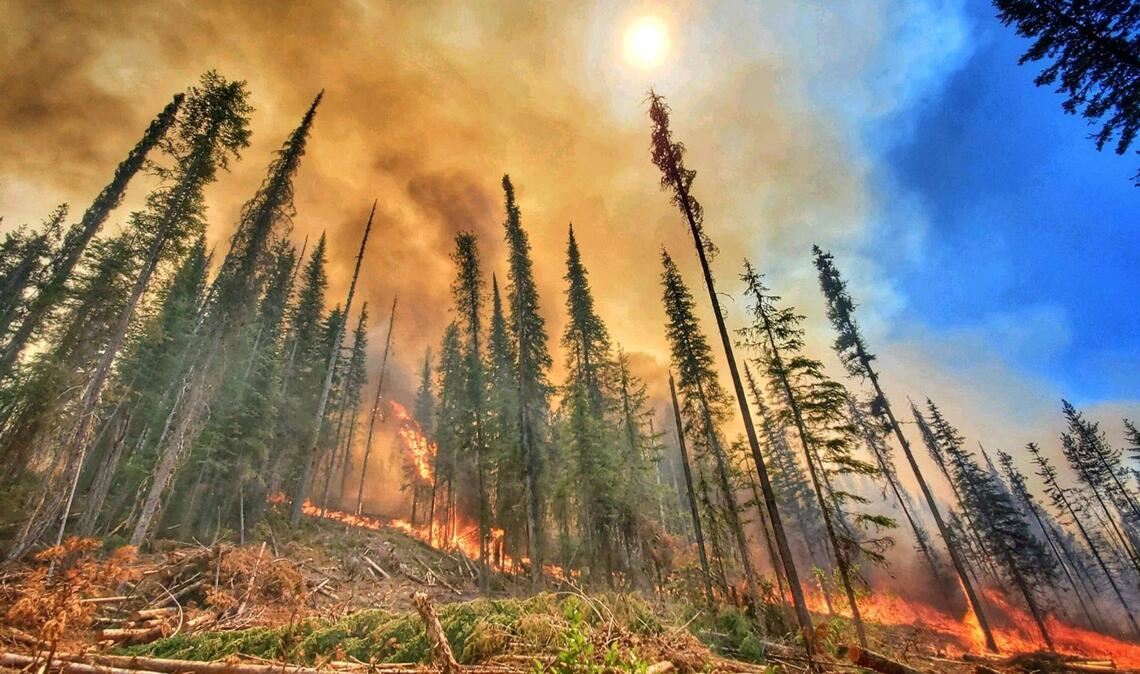 Waldbrände wie hier im US-Bundesstaat Washington im Jahr 2022 sind nur eine von vielen Ursachen, die zu Rekord-Emissionen an Treibhausgasen in die Atmosphäre beitragen.