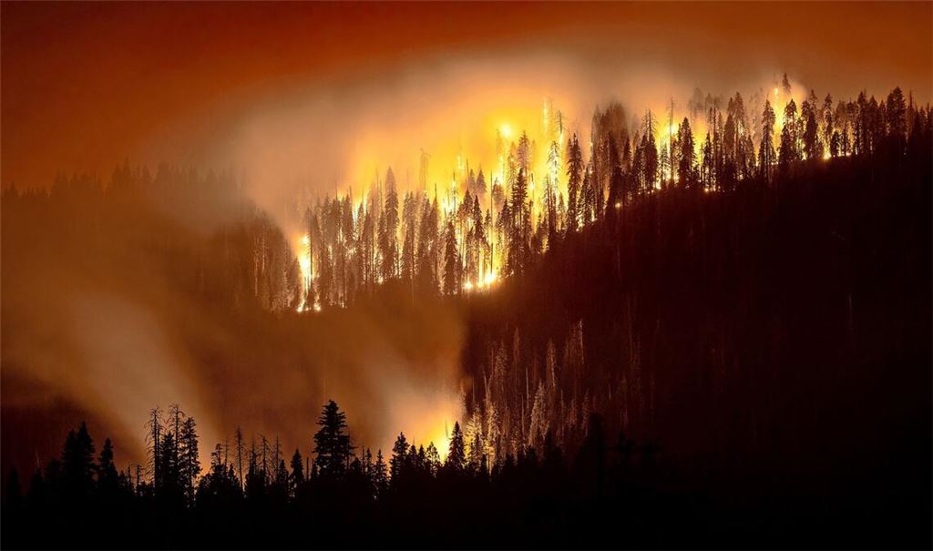 Waldbrand in Kalifornien.