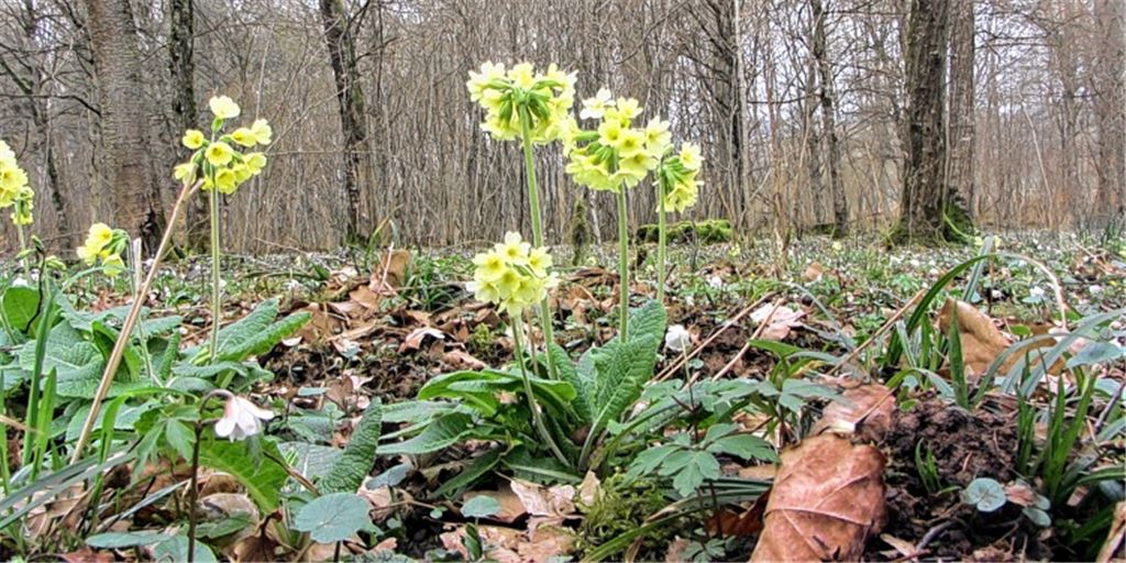 Frühlingsgefühle
