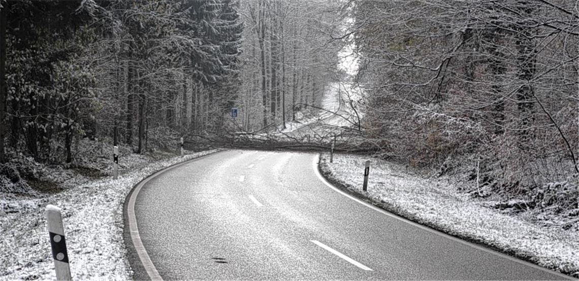 Waldstrecke gesperrt