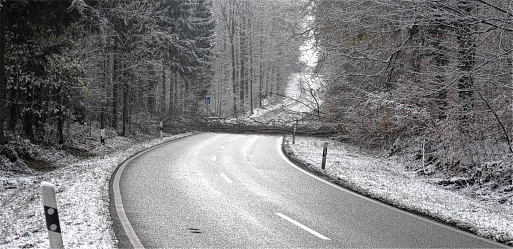 Waldstrecke gesperrt