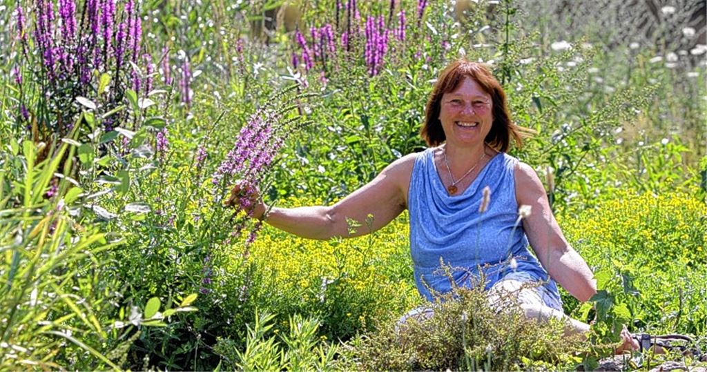 Waltraud Pfau am Enzufer inmitten eines Kräutermeers.