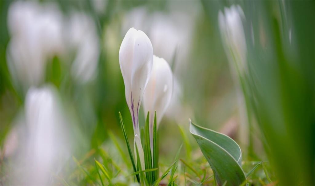 Wann wird es endlich wieder wärmer?