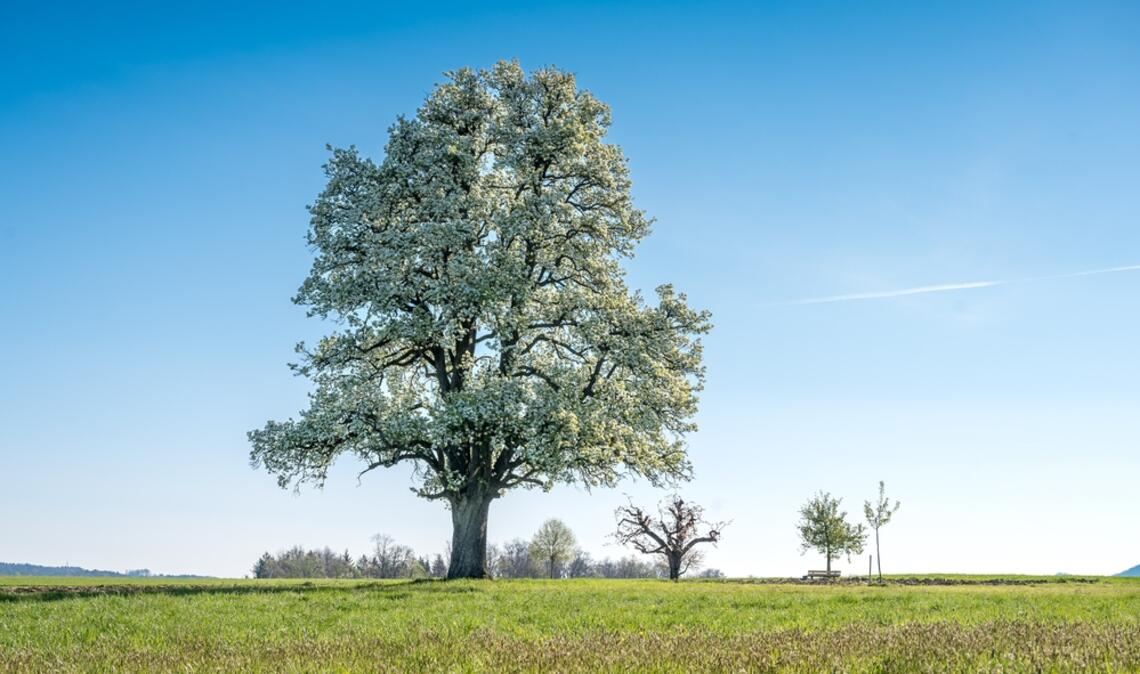 Wann wird es wieder wärmer? Ein Überblick über die Wetterentwicklung in Deutschland mit Prognosen für die kommenden Wochen.