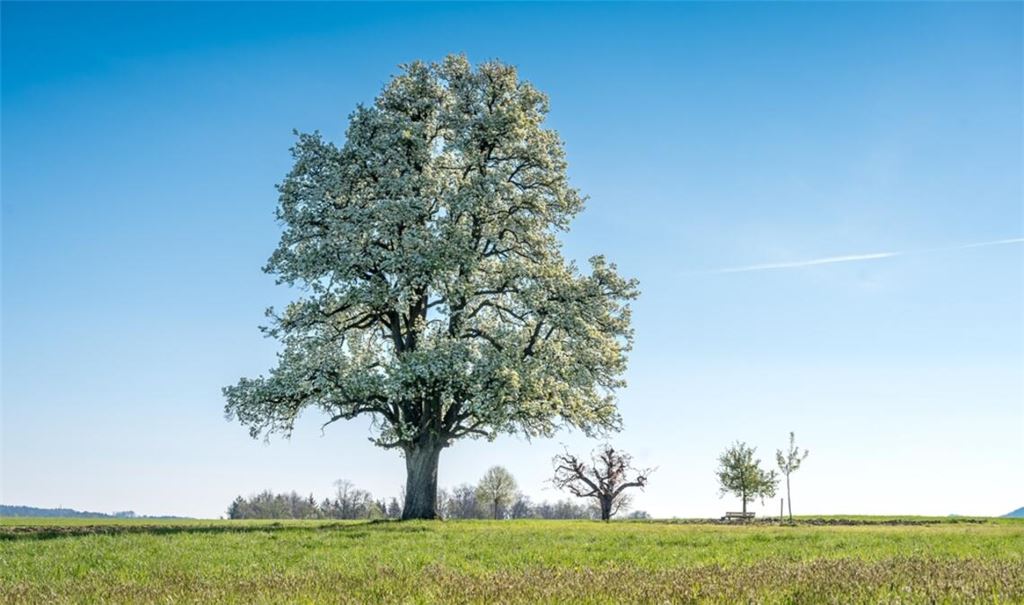 Wann wird es wieder wärmer? Ein Überblick über die Wetterentwicklung in Deutschland mit Prognosen für die kommenden Wochen.