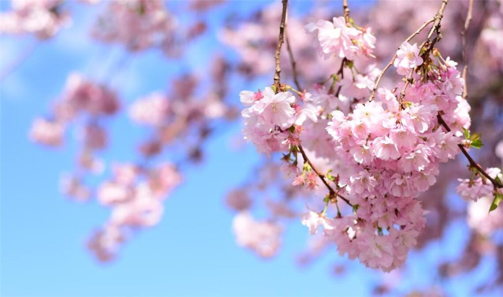 Wann wird es wieder wärmer? Ein Überblick über die Wetterentwicklung in Deutschland: Von frostigen Nächten und steigenden Temperaturen im April.