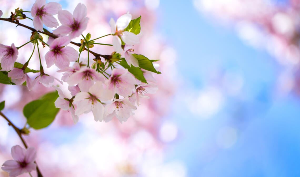 Wann wird es wieder wärmer? Ein Überblick über die aktuelle Wetterlage in Deutschland und die Aussichten für die kommenden Tage.