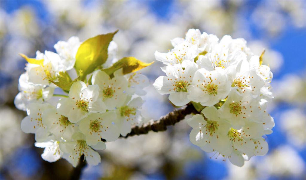 Wann wird es wieder wärmer? Ein Überblick über die aktuelle Wetterlage in Deutschland und die Aussichten für die kommenden Tage.