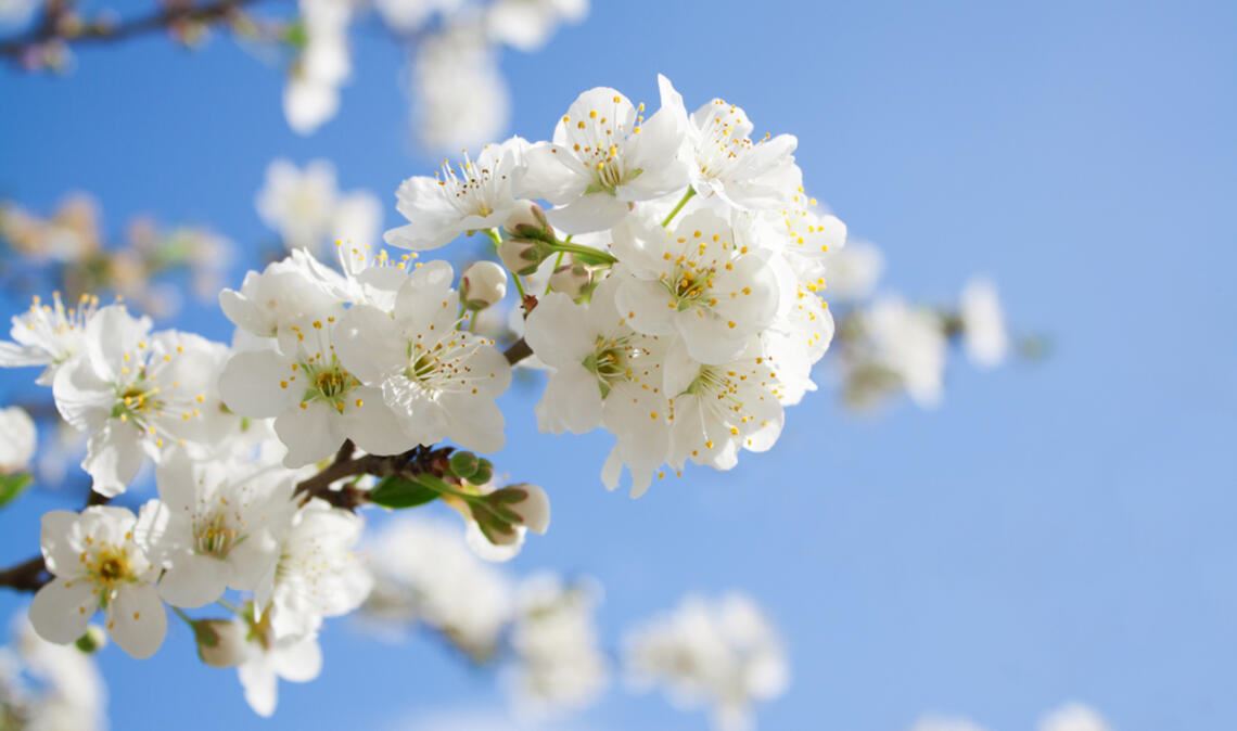 Wann wird es wieder wärmer? Ein Überblick über die aktuelle Wetterlage in Deutschland und die Aussichten für die kommenden Tage.