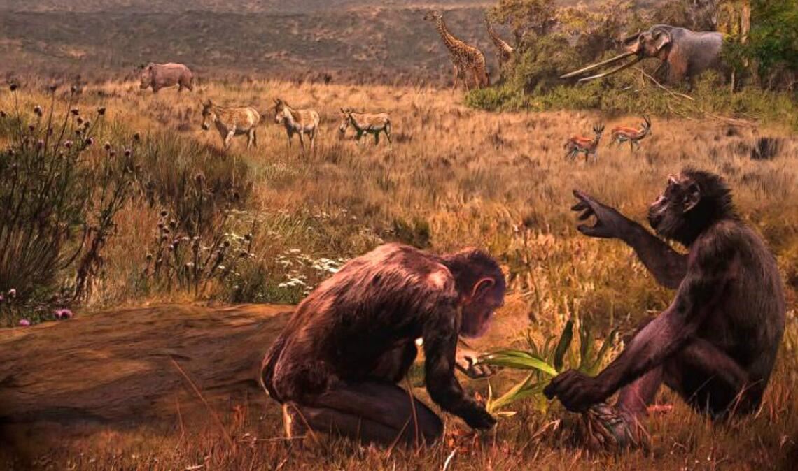 War er der letzte gemeinsame Vorfahre? Graecopithecus freybergi – Spitzname El Graeco – hat vor 7,2 Millionen Jahren in einer staubbelasteten Savannen-Landschaft rund um das heutige Athen gelebt. Der Künstler Velizar Simeonovski hat dieses Gemälde nach wissenschaftlichen Vorgaben von Madelaine Böhme und Nikolai Spassov erstellt.