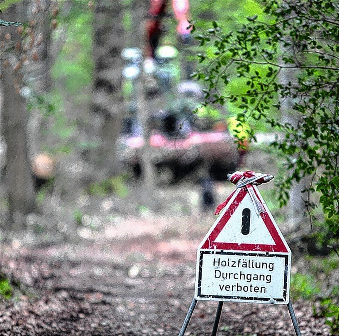 „Es wird immer schlimmer“