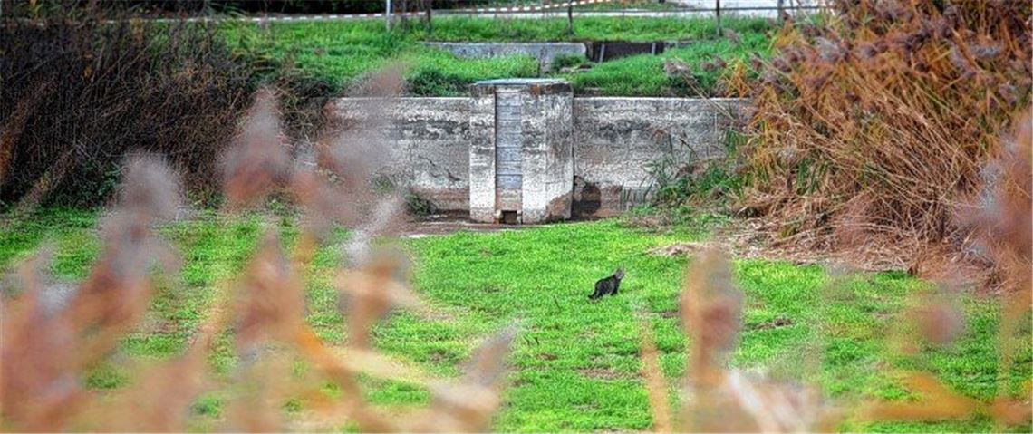 Warten auf den Abschluss