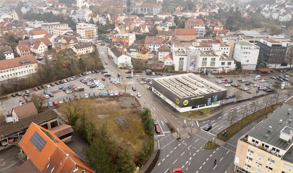 Wartet seit Jahren auf den Startschuss für einen Rossmann-Markt: das grün bewachsene Areal Ecke Goethestraße/B10. Fotos (3): Fotomoment