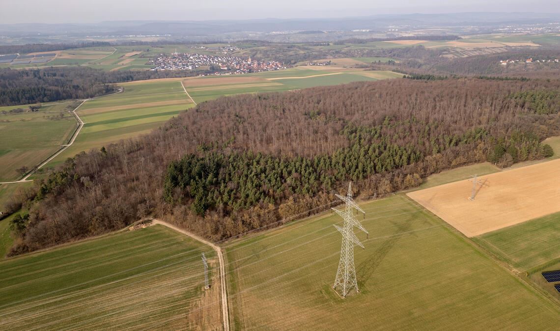 „Warum ausgerechnet im Wald?“, lautet eine häufig gestellte Frage über die Windkraft-Planungen. Die Antwort ist laut „Kommunal Partnern“ einfach: Die vorgesehenen Flächen gehören der Stadt Mühlacker. Die davorliegenden Felder seien viel kleinteiliger und somit im Besitz zahlreicher Eigentümer. Das wird die Zuwegung erschweren. Fotos: Fotomoment