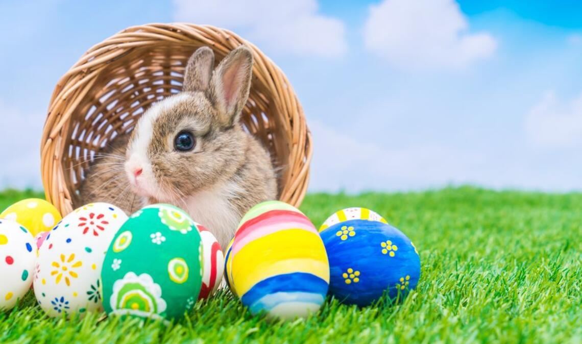 Warum bringt der Osterhase die Ostereier?