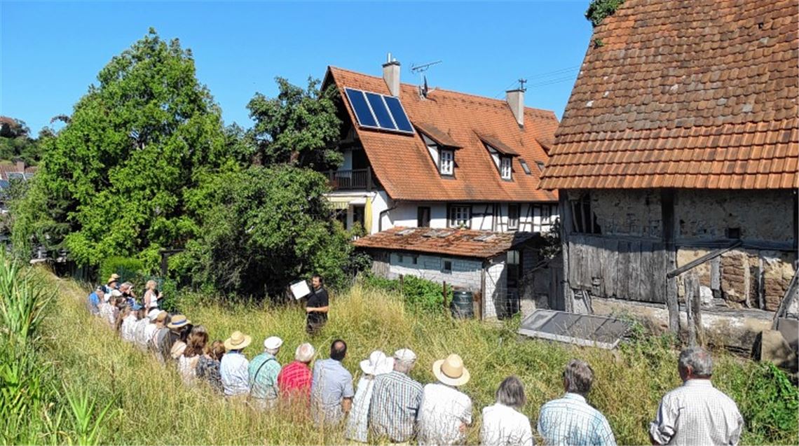 Die Sprache der Gebäude verstehen