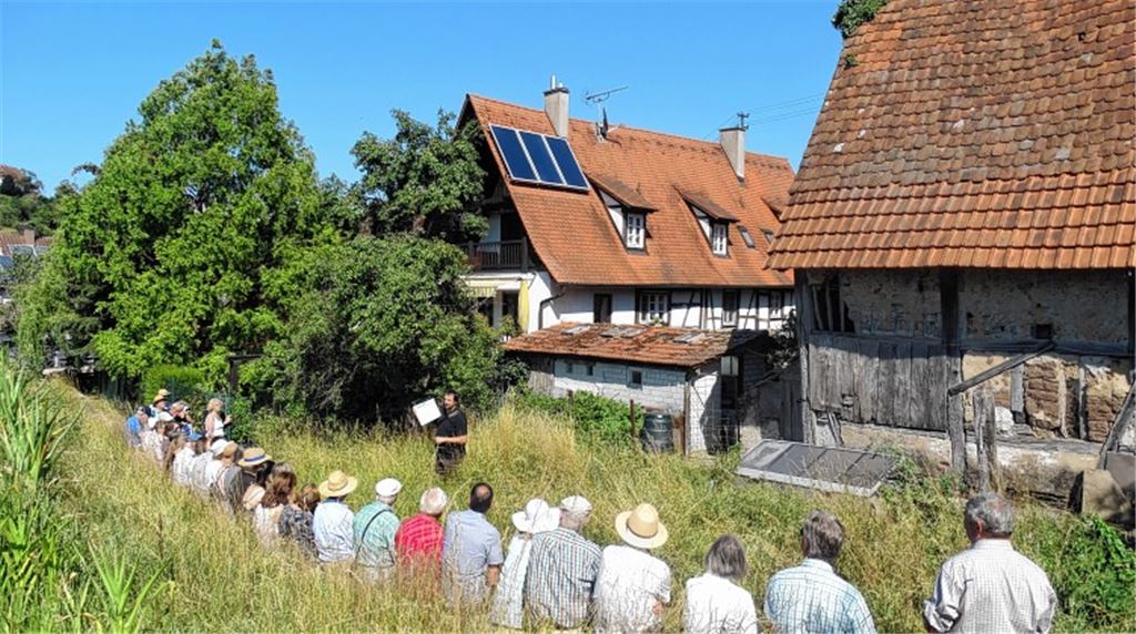 Die Sprache der Gebäude verstehen