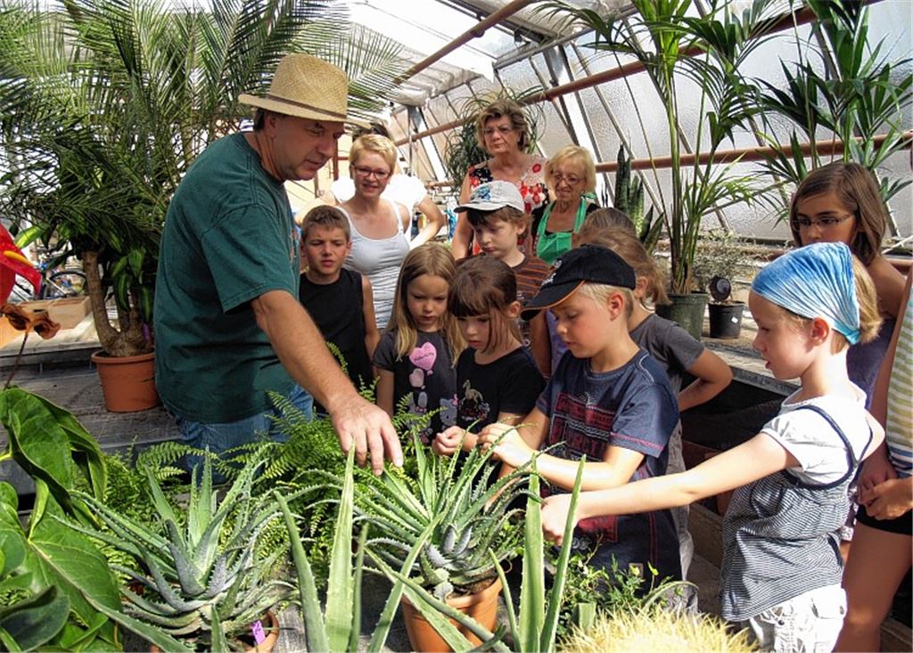 Was wächst denn da? Gärtnermeister Martin Rudolf hat aufmerksame Schüler.