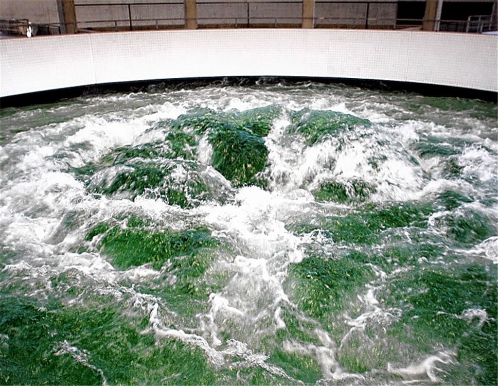 Wasser aus dem Bodensee – im Bild der Quelltopf in der Aufbereitungsanlage auf dem Sipplinger Berg – genießt den Ruf ausgezeichneter Qualität. Damit dies so bleibt, dürfe Trinkwasser nicht zum Renditeobjekt werden, heißt es beim Zweckverband. Foto: Kollros