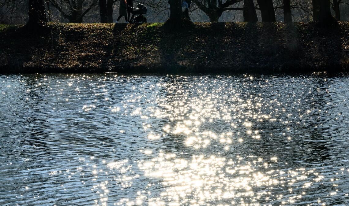 Wasser ist lebenswichtig für Menschen, Tiere und Kleinstorganismen. (Archivbild)