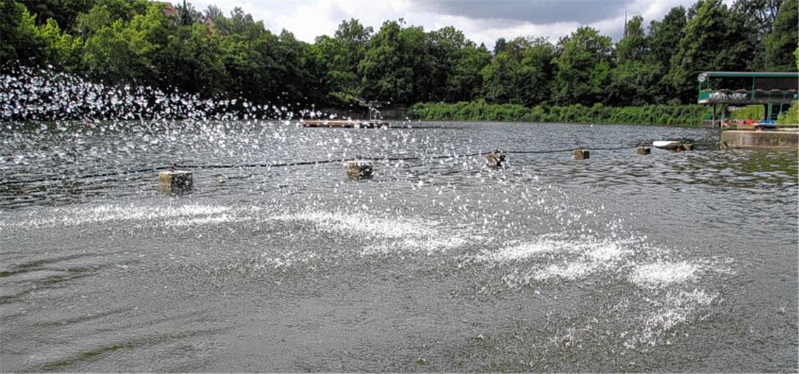 Wasserspiele in unberührter Natur: Der Tiefe See in Maulbronn bietet mehr als Badespaß.