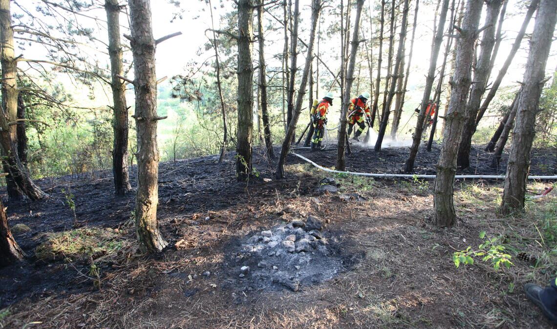 Wegen der aktuellen Trockenphase mit windigem Wetter wieder ein mögliches Szenario - ein Waldbrand. Symbolfoto: Archiv
