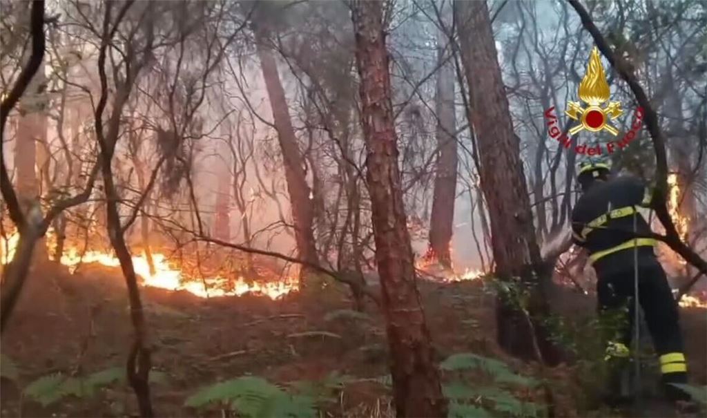 Wegen des Waldbrands haben mehr als 3.500 Menschen ihre Häuser verlassen müssen.