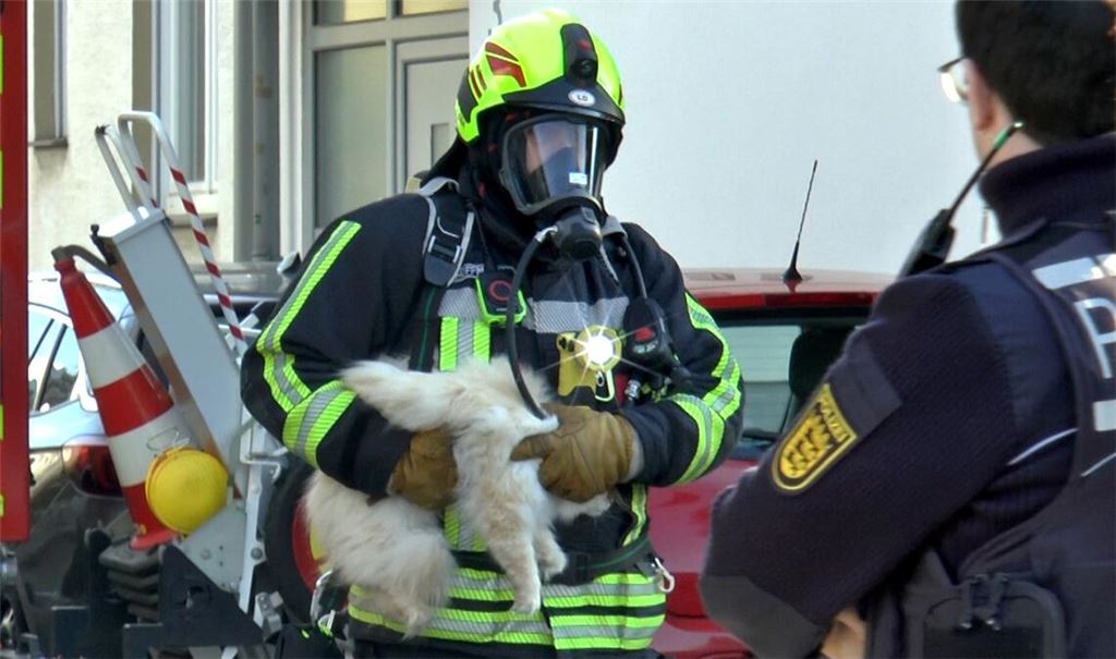 Wegen eines laut piepsenden Rauchmelders und Rauch, der aus einem Fenster kam, hatten Anwohner die Feuerwehr gerufen.