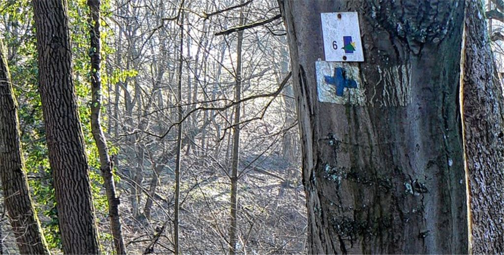 Wegepaten sollen sich künftig um die Beschilderung von Sternenfelser Wanderwegen wie dieses hinter dem Freibad in Richtung Hirschgehege kümmern.