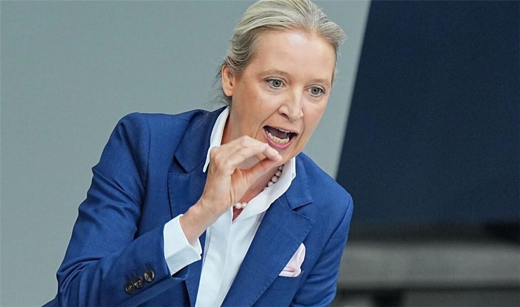 Weidel rechnet mit der Regierung generell ab.