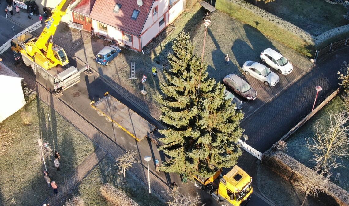 Weihnachtsbaum fürs Brandenburger Tor: Fichte per Kran auf LKW verladen in Sömmerda
