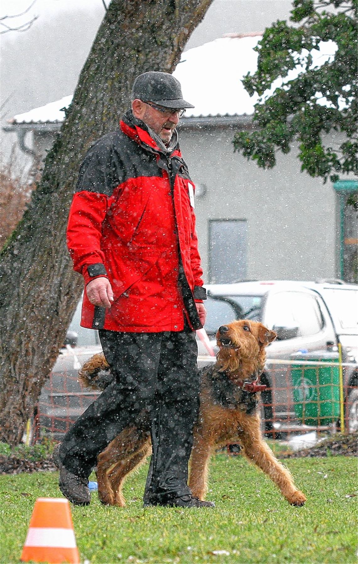 Weiße Flocken um die Schnauze: Hunde meistern bei Adventsprüfung dennoch die gestellten Aufgaben. Foto: Heintel