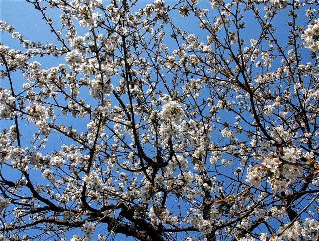 Frühlingsgefühle