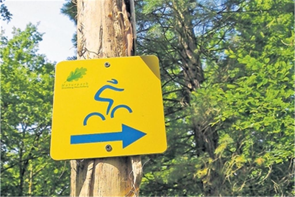 Welche Richtung nimmt die Debatte um eine mögliche Downhill-Strecke in Mühlacker? Laut Stadtrat Klemens Köberle gibt es noch drei bis vier zu prüfende Routen. Foto: Archiv