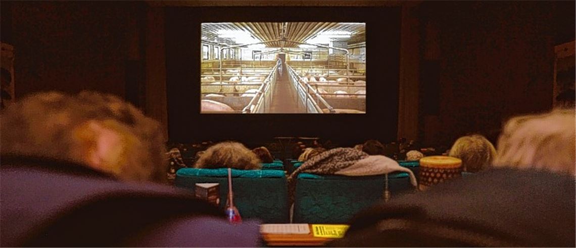 Mehr ackern für weniger Ertrag