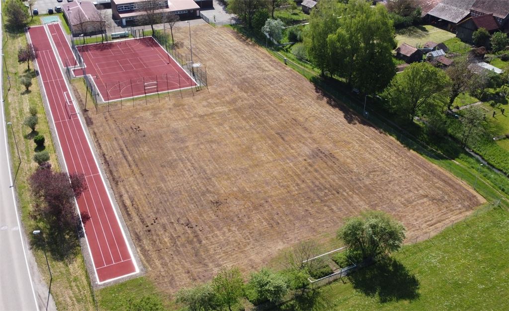 Welker Sportplatzrasen neben saftigem Frühlingsgrün in Schützingen.Foto: Schramm