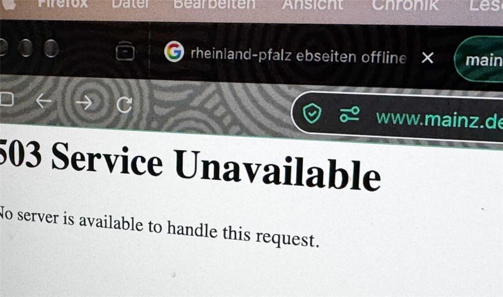 Weltweit kam es zur Abschaltung von Webseiten, hier bei der Stadt Mainz.