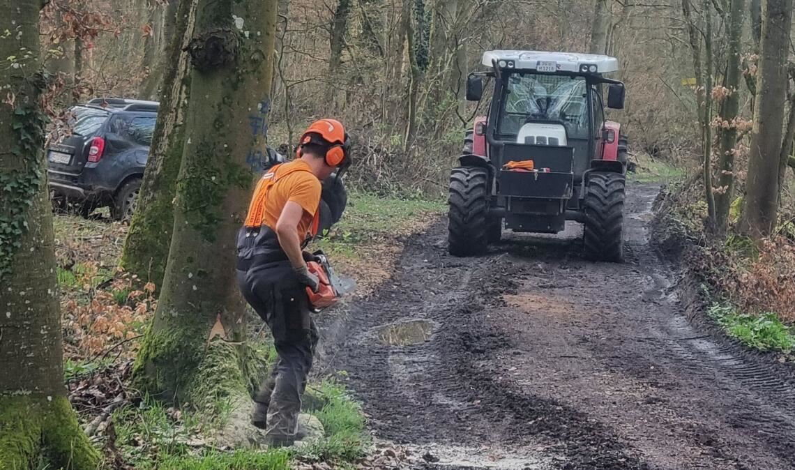 Wenig Frost und viel Niederschlag haben laut dem Landratsamt Enzkreis die Holzernte deutlich erschwert. An einigen Stellen zeugen davon tiefe Fahrspuren. Fotos: Enzkreis/Rapp